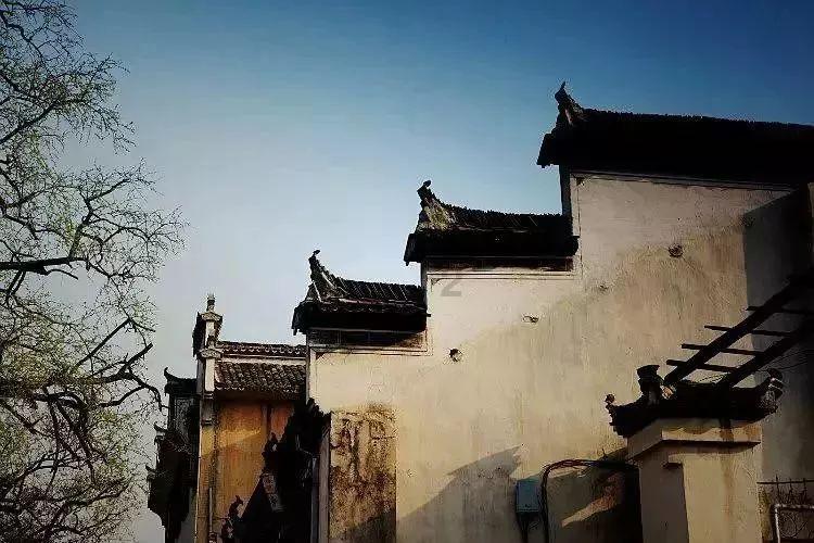 万词王