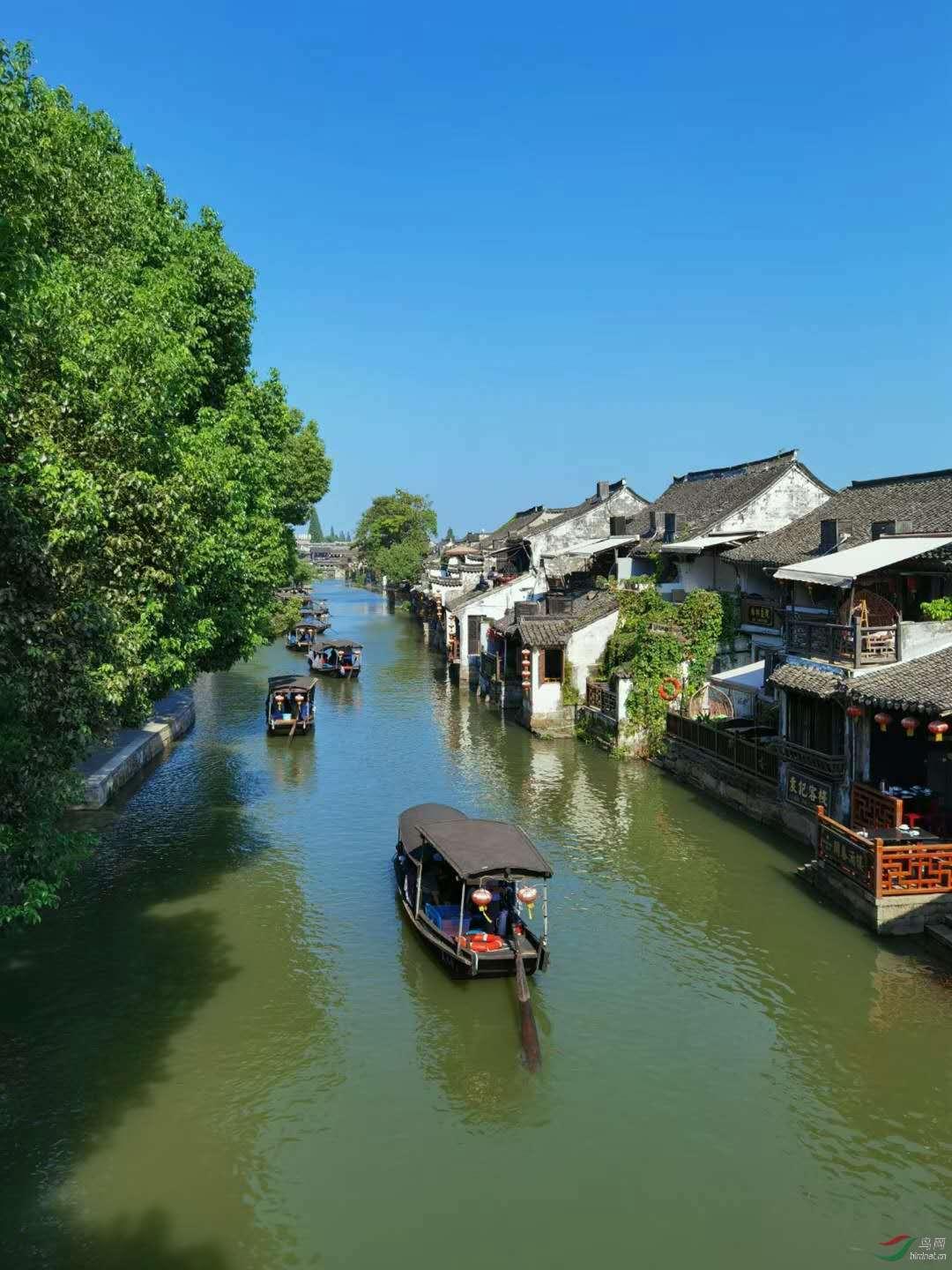 僵尸粉碎机